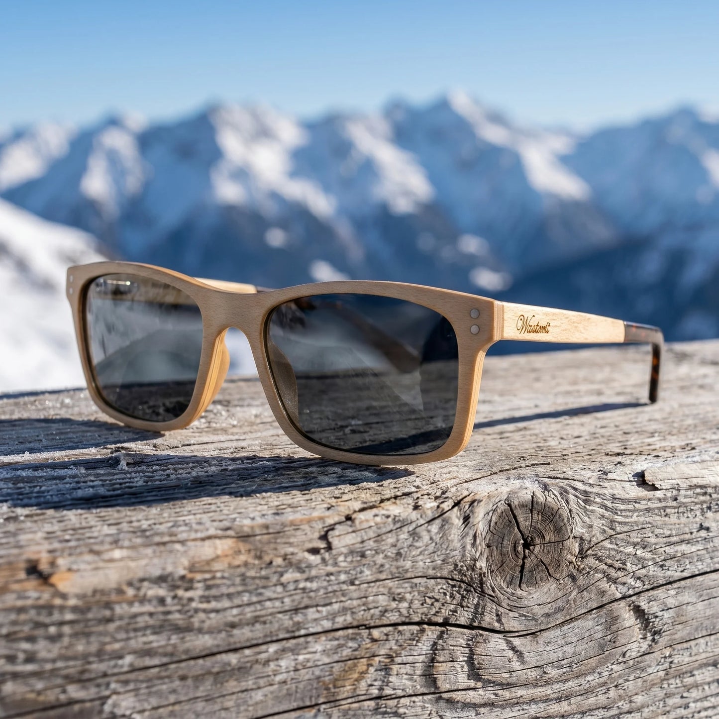 Zirbenbrille Pine (Panske) - fotografie životního stylu na alpské borovici se zasněženými vrcholky v pozadí
