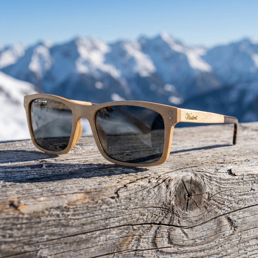 Zirbenbrille Pine (Panske) - fotografie životního stylu na alpské borovici se zasněženými vrcholky v pozadí